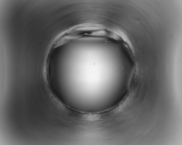 X0000089750952200707051813