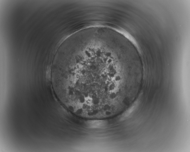 X0000089750953200707051813