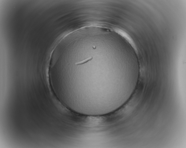 X0000089750954200707051813