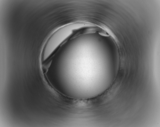 X0000089750955200707051813