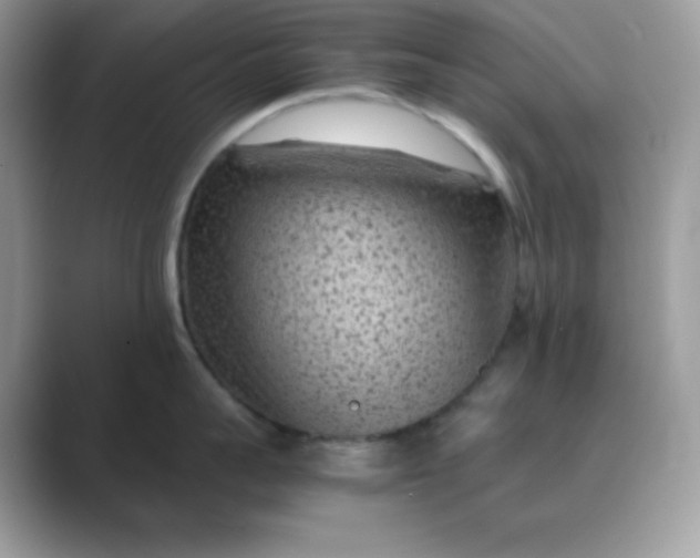 X0000089750959200707051813