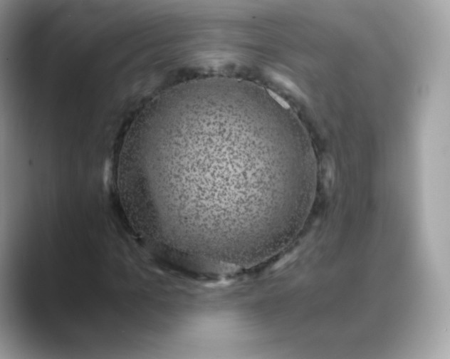 X0000089750965200707051812