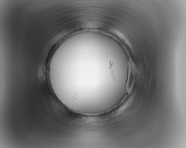 X0000089750970200707051812