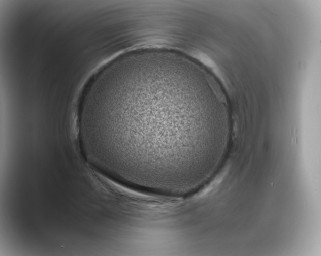 X0000089750973200707051812