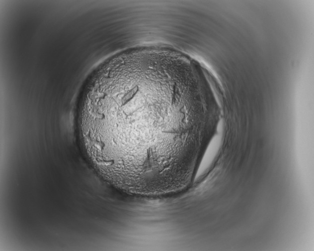 X0000089750975200707051812