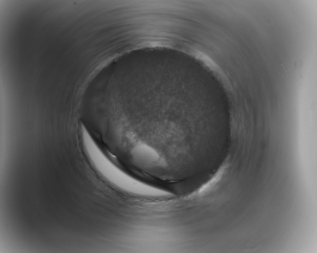 X0000089750977200707051812