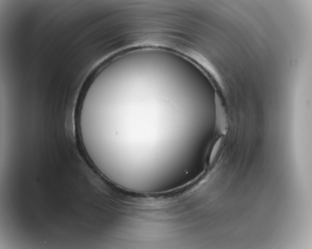 X0000089750980200707051812