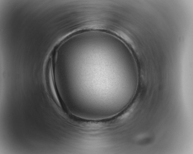 X0000089750981200707051812