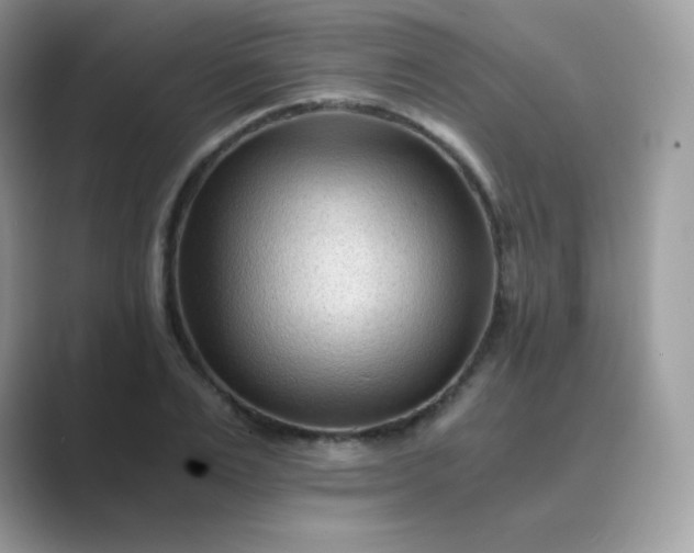 X0000089750983200707051812