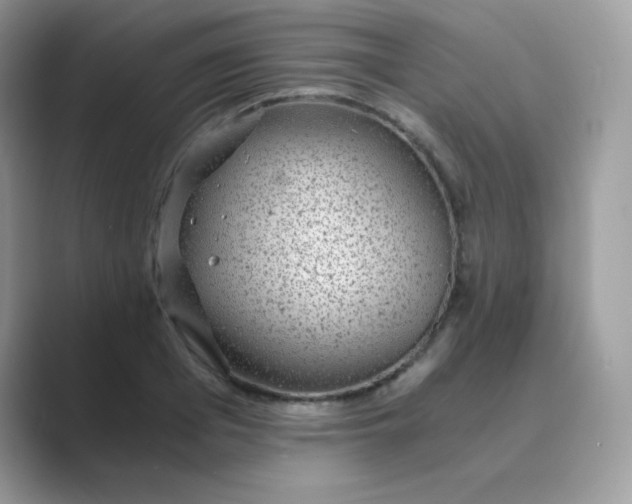 X0000089750985200707051812