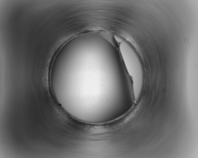 X0000089750986200707051812