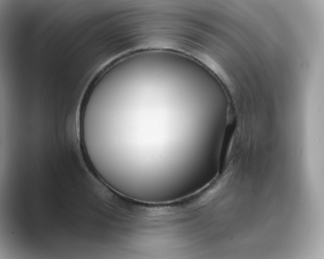 X0000089750988200707051812