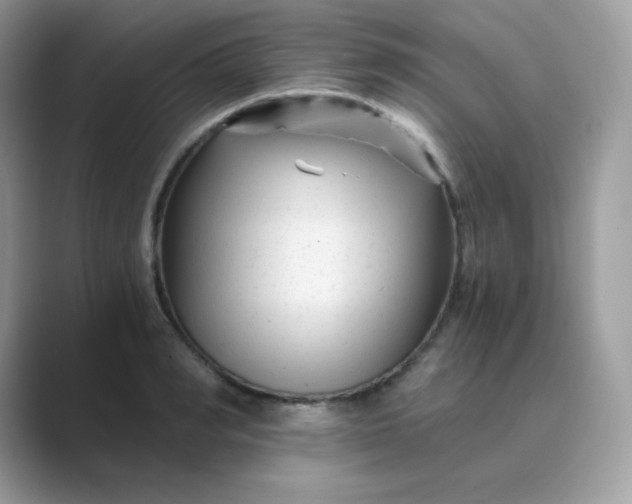 X0000089750990200707051812