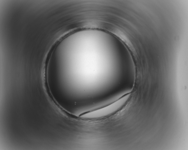 X0000089750992200707051812