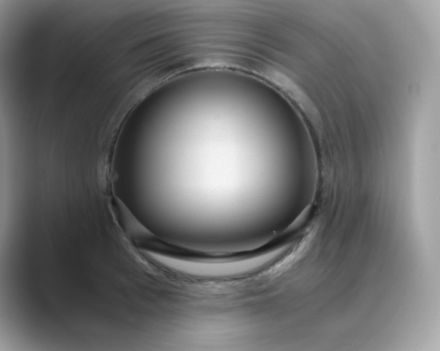 X0000089750993200707051812