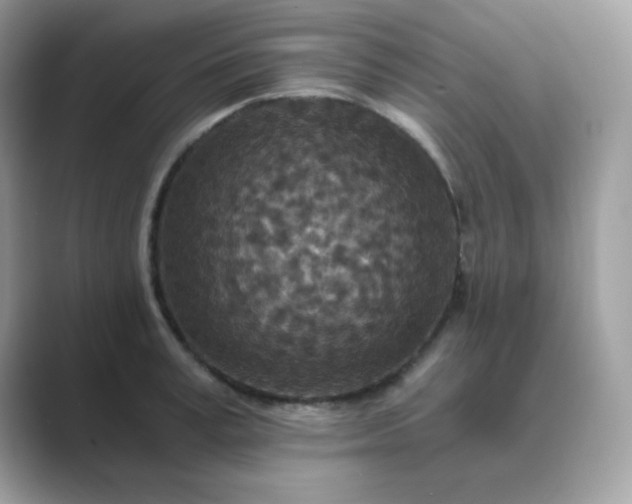 X0000089750995200707051812