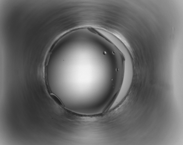 X0000089750996200707051812