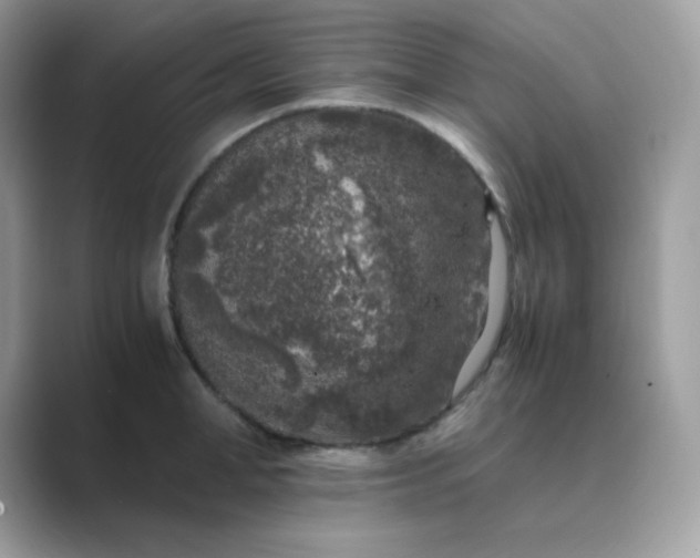 X0000089750998200707051812