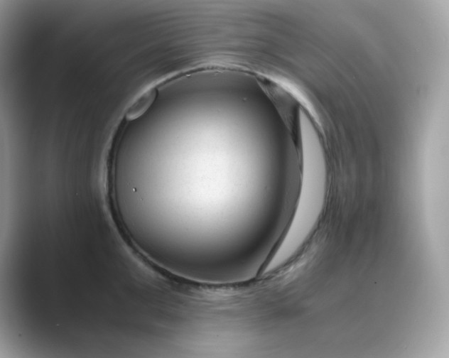 X0000089750999200707051812