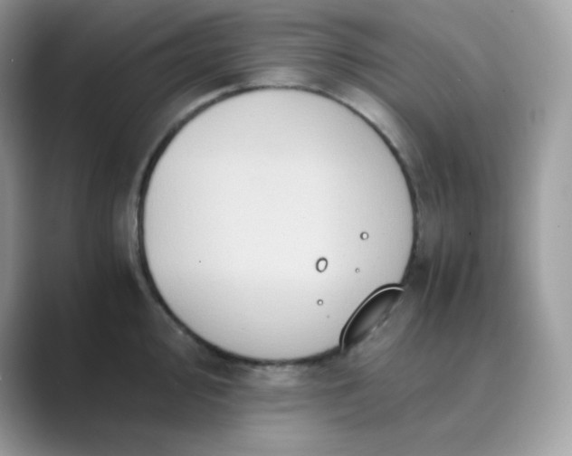 X0000089751000200707051812