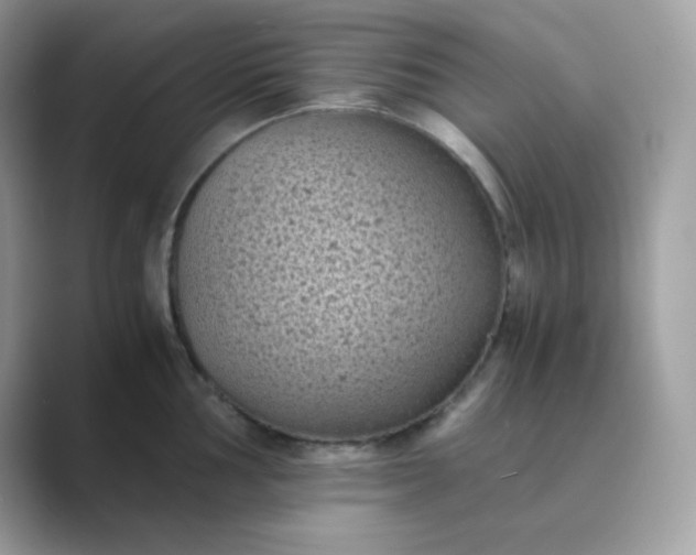 X0000089751002200707051812