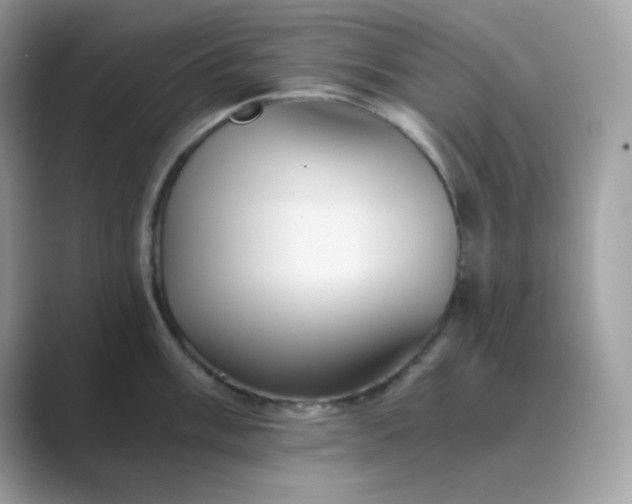 X0000089751003200707051812