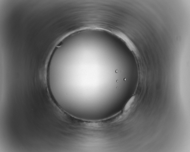 X0000089751004200707051812