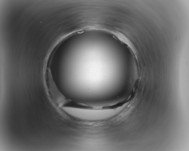 X0000089751005200707051812