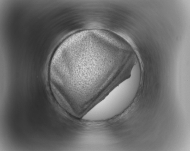 X0000089751008200707051812