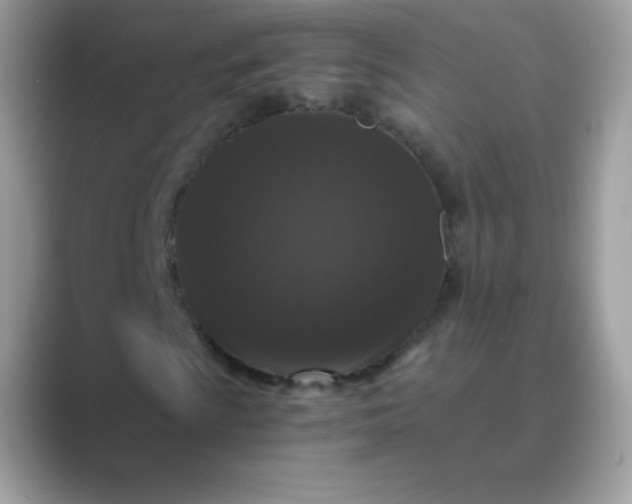 X0000089751009200707051811