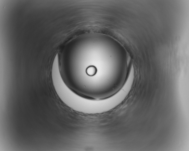 X0000089751010200707051811