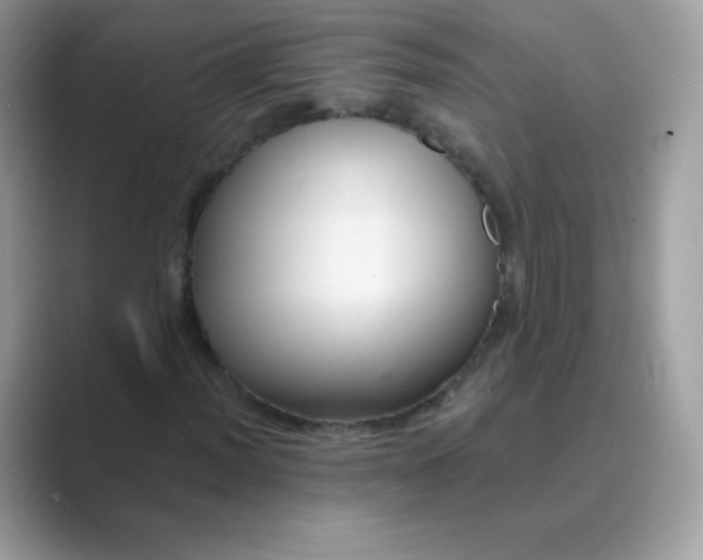 X0000089751012200707051811