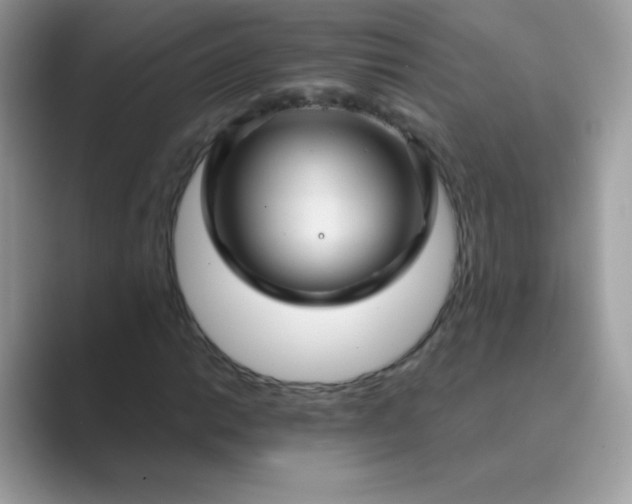 X0000089751014200707051811