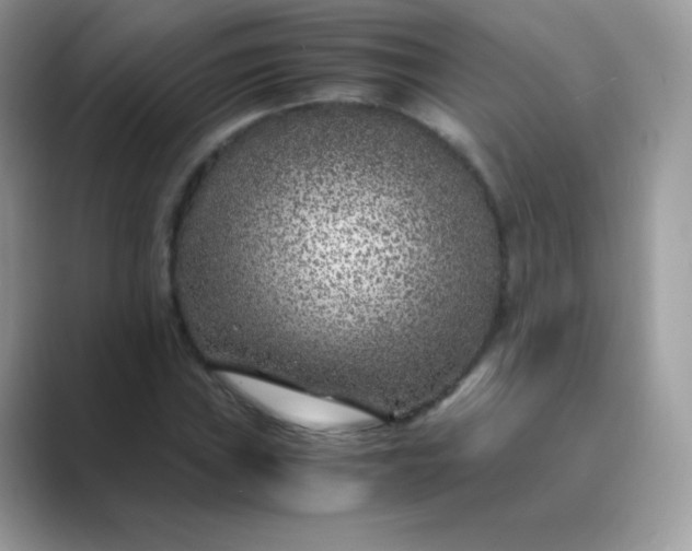 X0000089751019200707051811