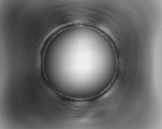 X0000089751021200707051811