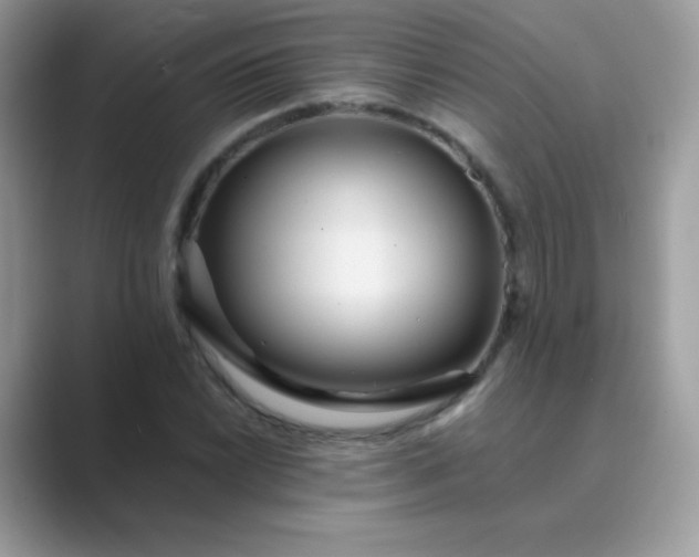 X0000089751022200707051811