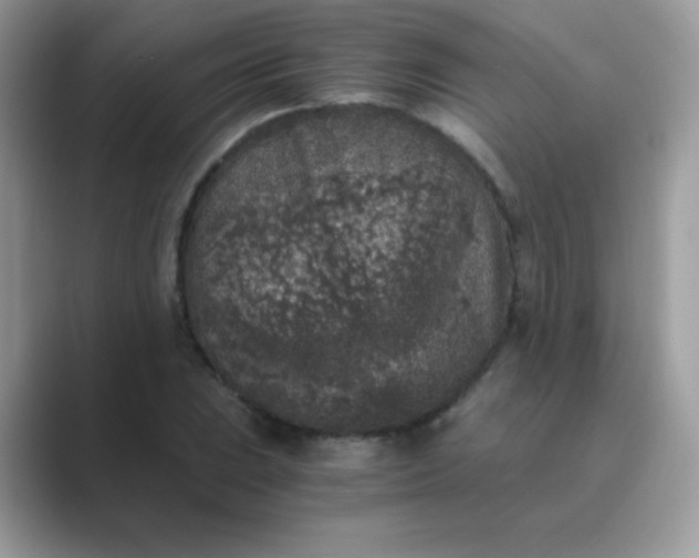 X0000089751023200707051811