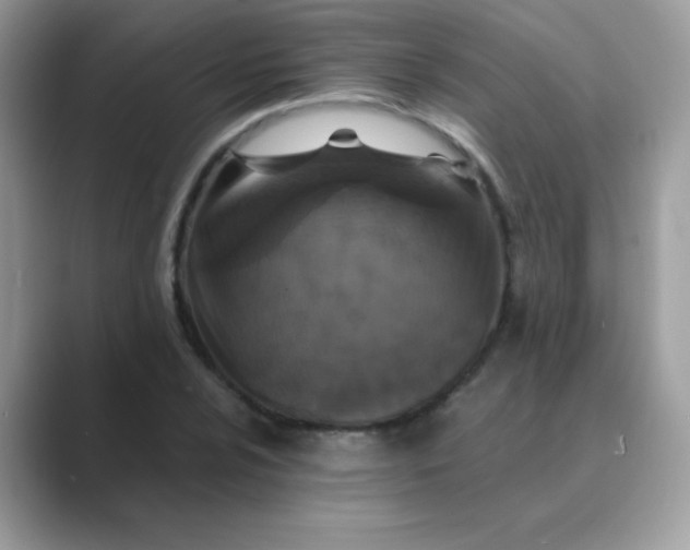 X0000089751024200707051811