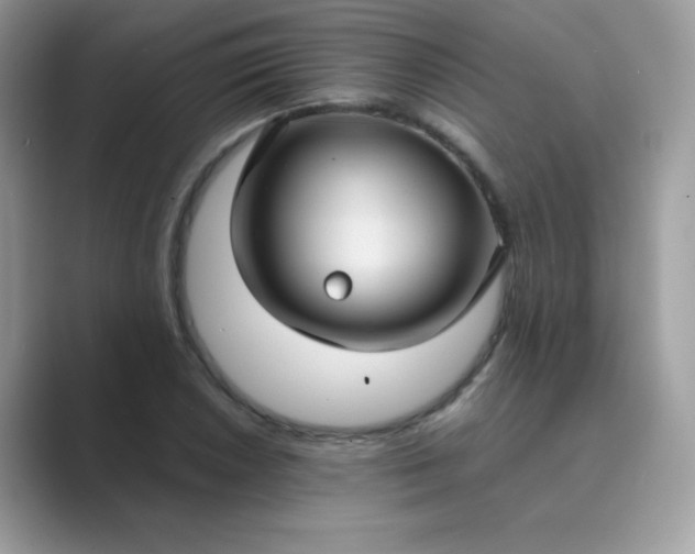 X0000089751026200707051811