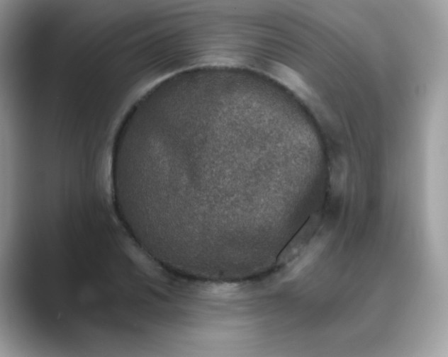 X0000089751030200707051811