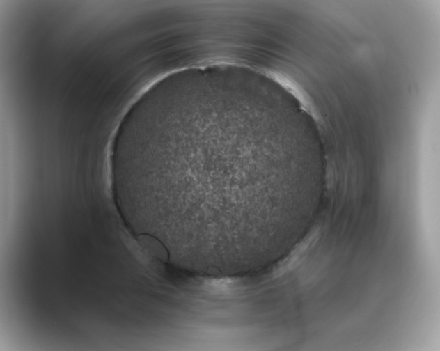 X0000089751031200707051811