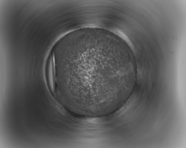 X0000089751035200707051811