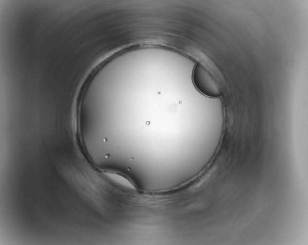 X0000089751036200707051811