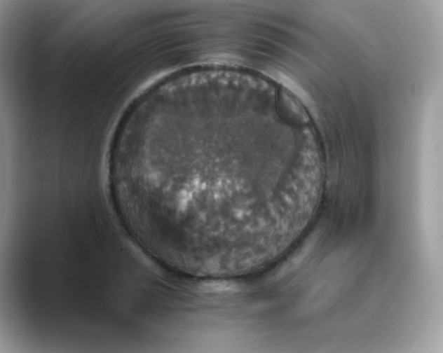 X0000089751037200707051811