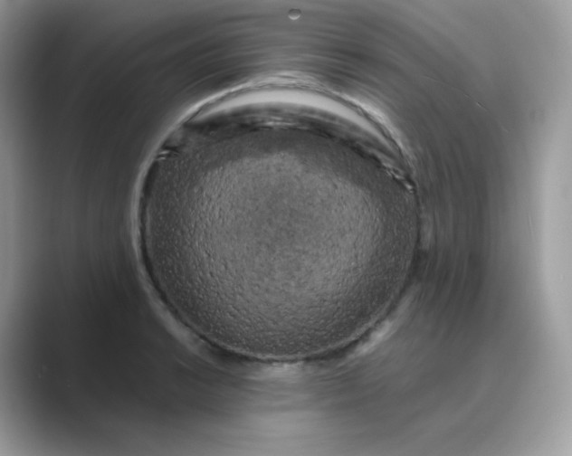 X0000089751038200707051811