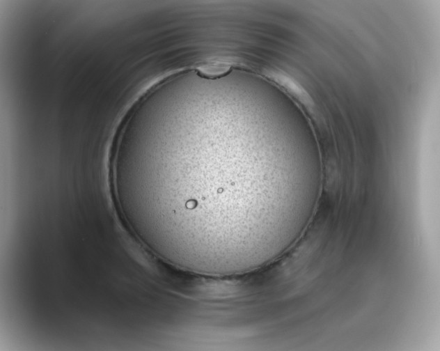 X0000089751039200707051811