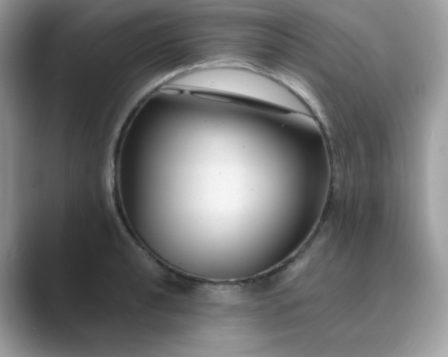 X0000089751040200707051811