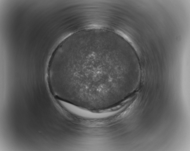 X0000089751042200707051811