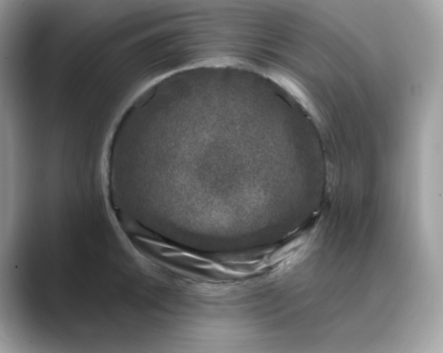 X0000089751046200707051811