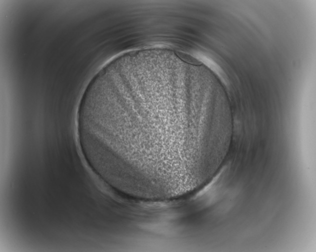 X0000089751047200707051811